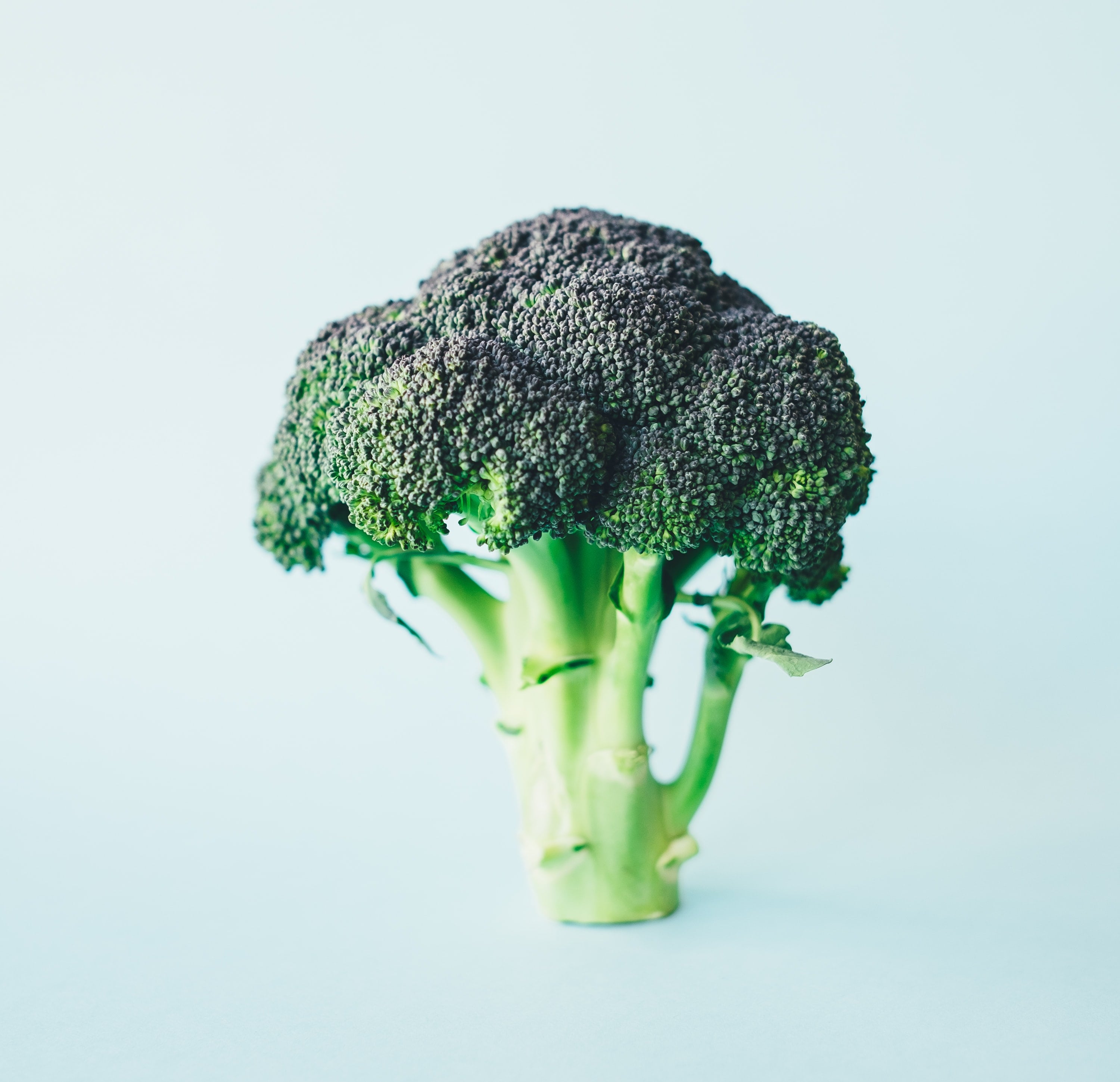 brocolli