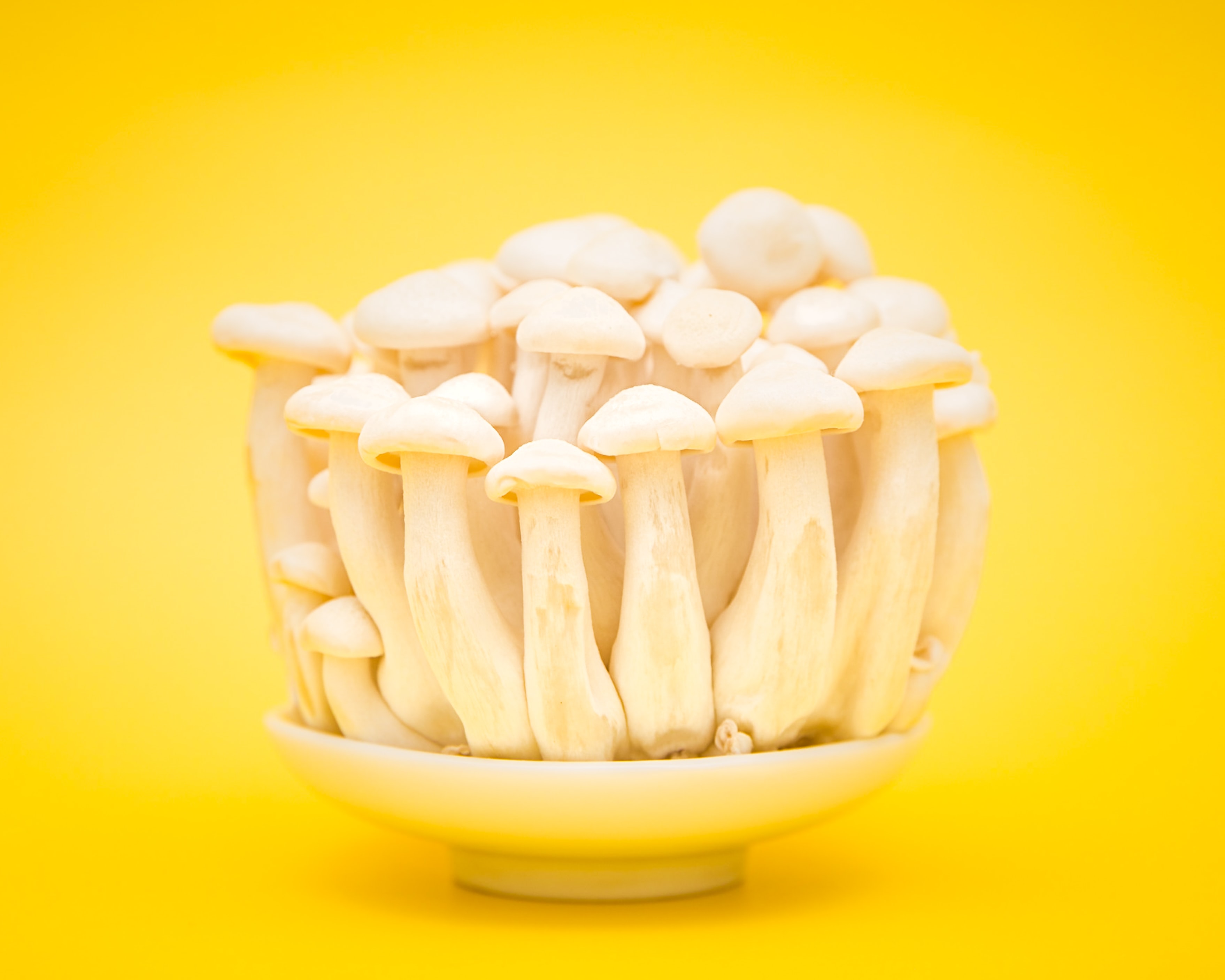 mushrooms